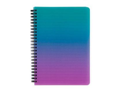 Karton P+P Doppeldrahtblock PP A5 Ombre Rosa 1 Stück