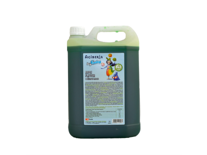 AGIBERIA Eisiger Fruchtsirup mit Apfelgeschmack 5 l