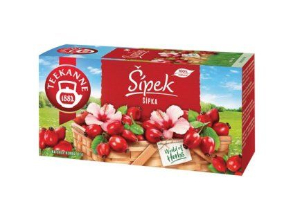 TEEKANNE Hagebuttentee 54 g