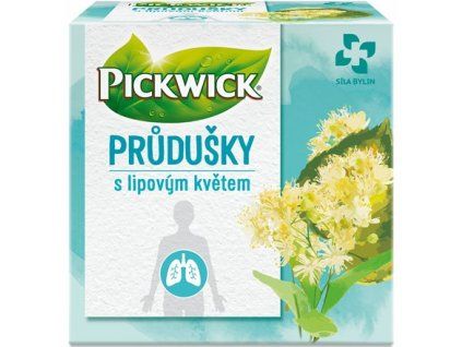 PICKWICK Bronchialtee 22 g