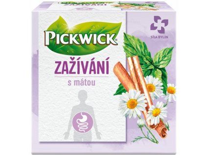 PICKWICK Verdauungstee 20 g