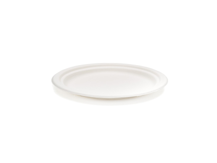 Teller 22 cm Zuckerrohr 50 Stück
