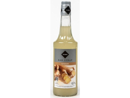 RIOBA Ingwersirup 700 ml