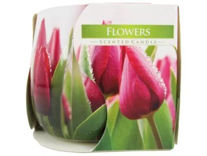 Bispol Kerzenblumen 100g