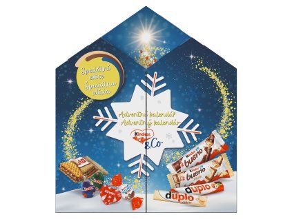 Kinder & Co Adventskalender 263 g