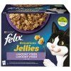Felix capsa (12x85g/Kuh) sens Gelees