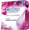 GALLUS Pulver 10PD BOX Farbe