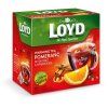 Loyd Wärmender Tee Pyramide Orange + Zimt + Nelke 40 g