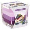 Bispol Kerzen-Blaubeer-Käsekuchen 170g