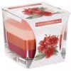 Bispol Duftkerze Hibiskus Weißer Salbei SNK80-356 170 g