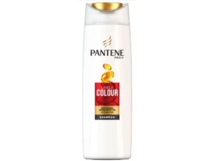 šampón
