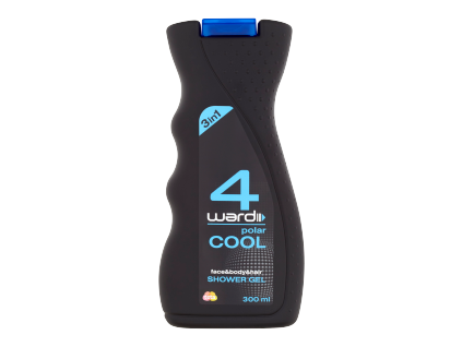 125913 4ward sg 300ml cool wave men
