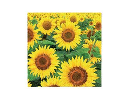 Servilletas de 33 cm – Campo de girasoles