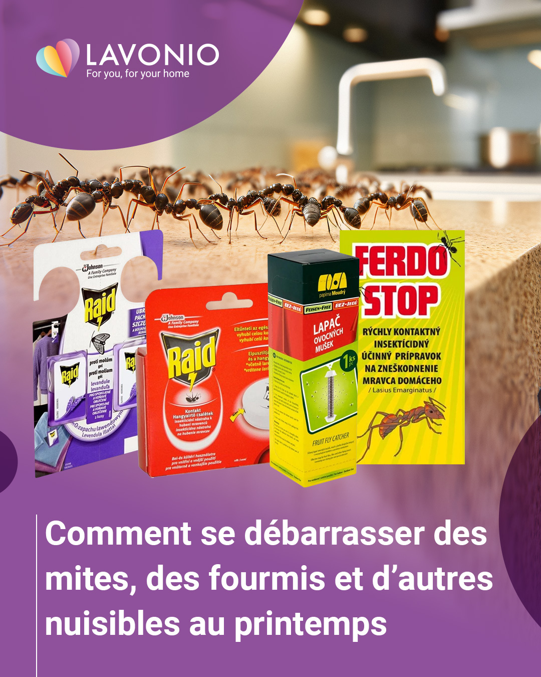 Comment se débarrasser des mites, des fourmis et des autres nuisibles au printemps