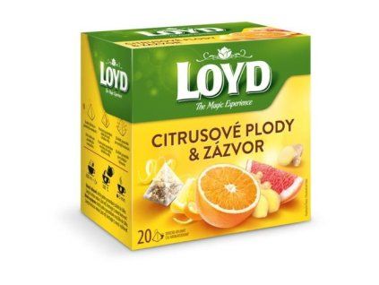 Thé Loyd pyramide agrumes + gingembre 40 g
