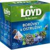Thé Loyd pyramide myrtilles + mûres 40 g
