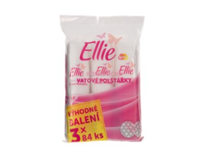 Snímka obrazovky 2025 01 06 083015