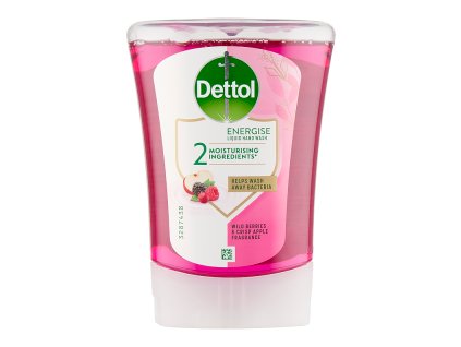 121653 dettol nn do davkovace 250ml lesni ovoce