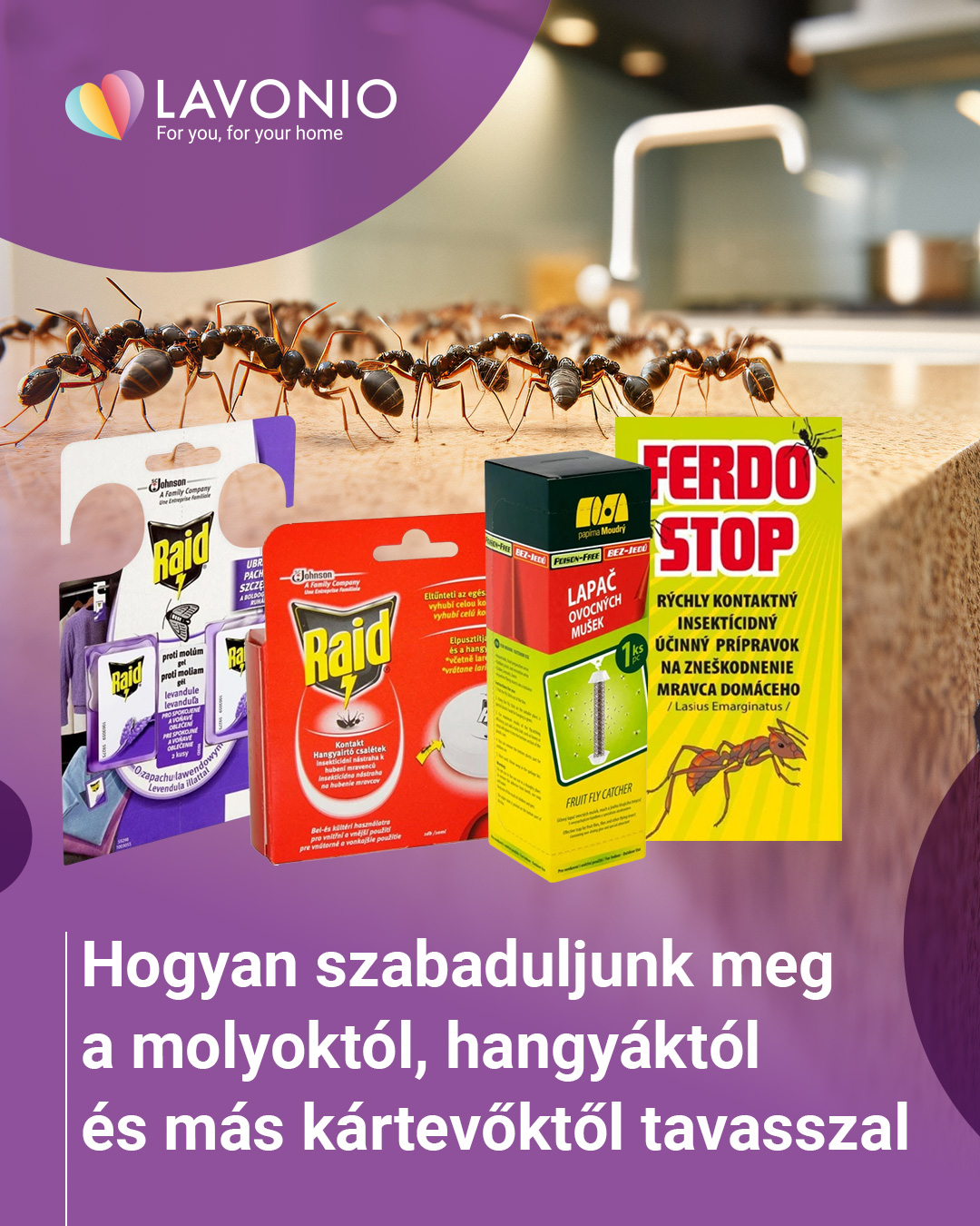 Tudja meg, hogyan szabadulhat meg tavasszal a molyoktól, hangyáktól és más kártevőktől az otthonában.
