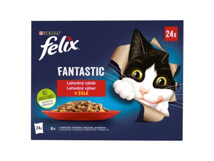 749ff7a7 4e4d 4850 a171 e18a173411ea