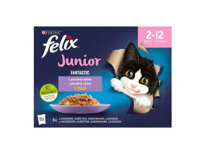 125097 felix kapsa 12x85g kra junior fantasti