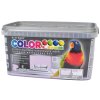 Colorline 4kg színes levendula 10