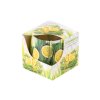 Illatos gyertya üvegben, dekoratív, dobozban, Citronella 75x75mm