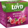 Loyd Tea piramis áfonya + málna 40g