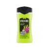 Axe SG 250ml Epic Fresh Pcs