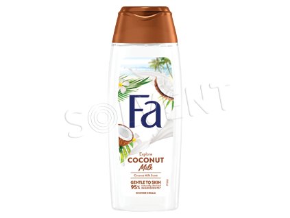 Fa SG 250ml Coconut Milk