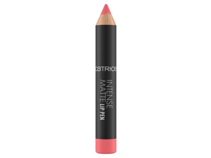 Catrice Intense Matte Lip Pencil and Lipstick 020;