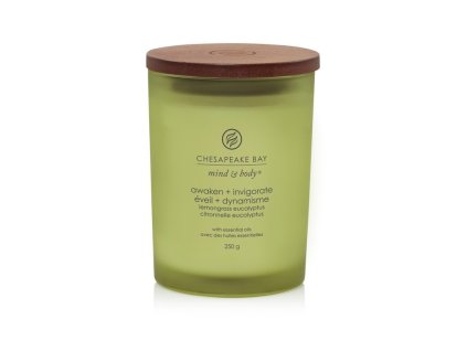 SCENTED CANDLE CHESAPEAKE BAY CANDLE AWAKEN & INVIGORATE MEDIUM