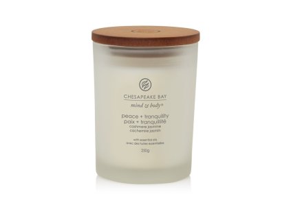 SCENTED CANDLE CHESAPEAKE BAY CANDLE PEACE & TRANQUILITY MEDIUM
