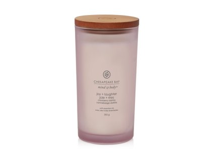 SCENTED CANDLE CHESAPEAKE BAY CANDLE JOY & LAUGHTER LARGE