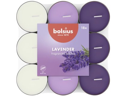 Bolsius tea scented candles Lavender basic tri-colored 18pcs