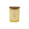 SCENTED CANDLE CHESAPEAKE BAY CANDLE STRENGTH & ENERGY MEDIUM