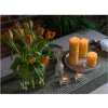 Bolsius cylinder candle Butter Yellow Rustic Silhouette 68x190mm