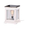 Candle Warmers electric aroma lamp Edison Bulb Weathered Wood