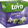 Loyd Tea pyramid blackcurrant + elderberry 40g