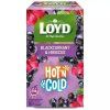 Loyd Tea hot&cold blackcurrant hibiscus 30g