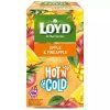 Loyd Tea hot&cold apple pineapple 30g