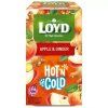 Loyd Tea hot&cold apple ginger 30g