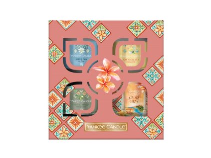 SET REGALO CON BICCHIERE SIGNATURE E 3 CANDELE VOTIVE IN VETRO Primavera 2025