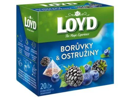 Loyd Tea piramide mirtilli + more 40g