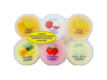 Budino al cocco vari gusti 480g (THACH THAP CAM)