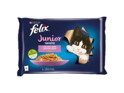 Felix Fantastic bustina mp junior pollo + salmone @4x85g