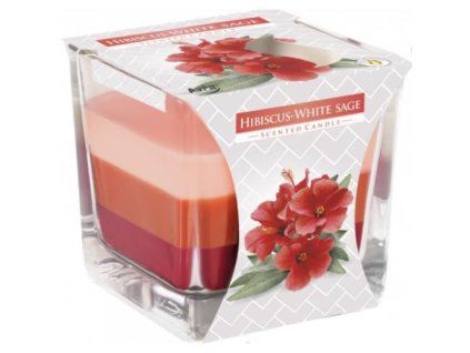 Candela Bispol all'ibisco e salvia bianca snk80-356 170g
