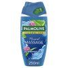 Palmolive SG 250ml Massaggio Benessere