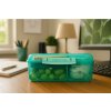 Sistema Divided Lunch Bento Snack Box con contenitore per yogurt e 2 vassoi 1,65 L, Menta