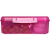 Sistema Divided Lunch Bento Snack Box con contenitore per yogurt e 2 vassoi 1,65 L, rosa